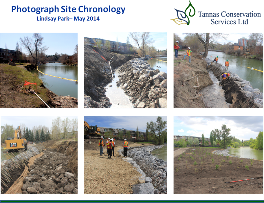 Willow Stake Installation, Bio-engineering of the Elbow River